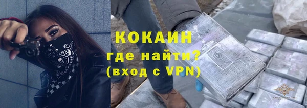 дживик Гусь-Хрустальный