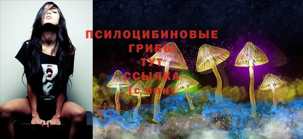 герыч Горняк