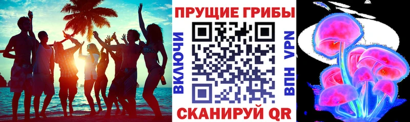 цена Северодвинск Галлюциногенные грибы MAGIC MUSHROOMS